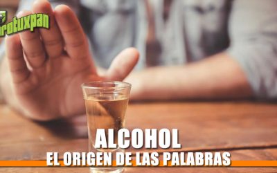 El origen de la palabra «ALCOHOL»