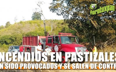 Incendios en pastizales han sido provocados: PCM
