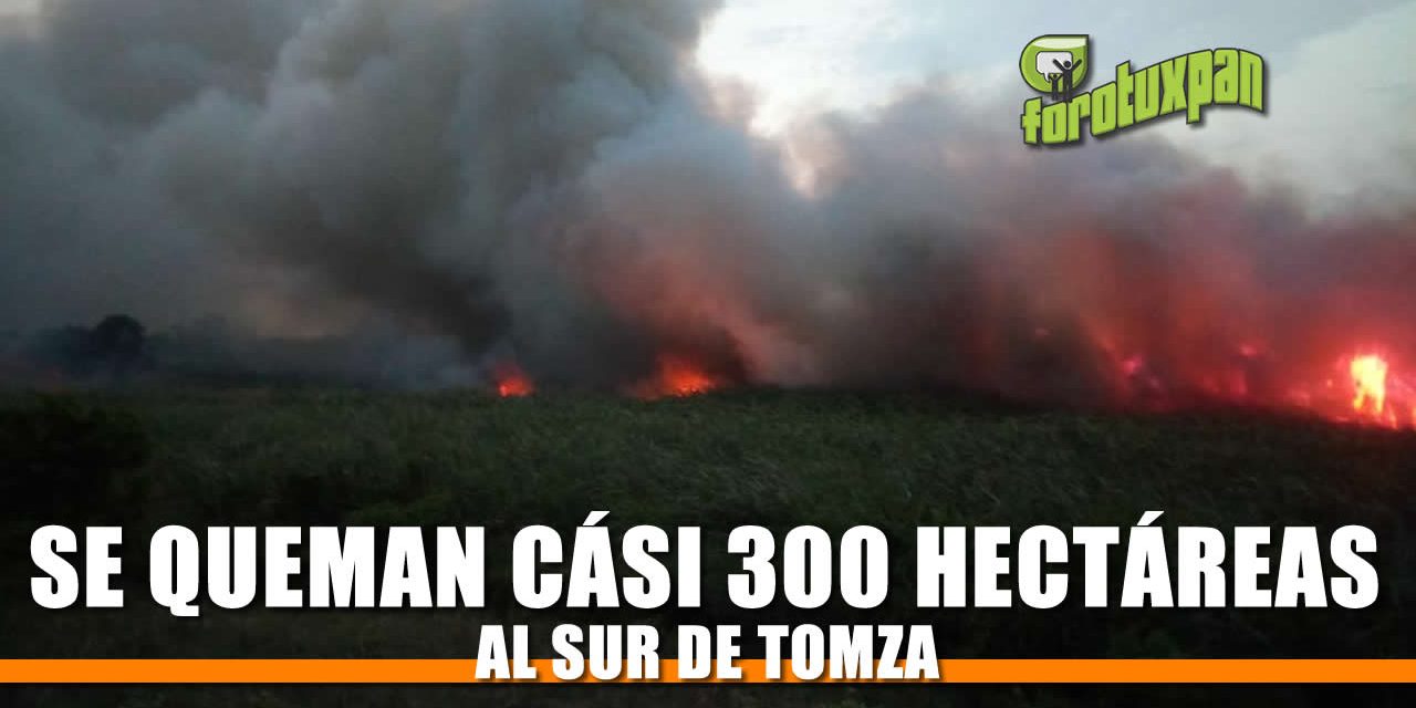 Se queman casi 300 hectáreas al sur de TOMZA