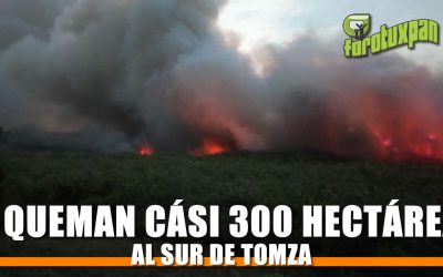 Se queman casi 300 hectáreas al sur de TOMZA