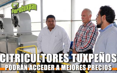 Citricultores tuxpeños podrán acceder a mejores precios