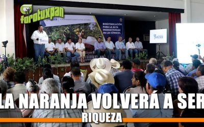 La naranja volverá a ser riqueza