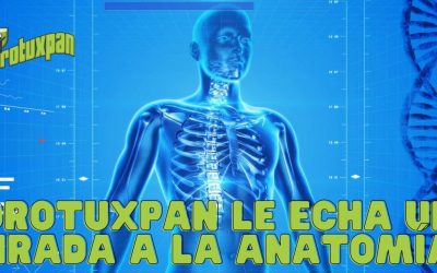 Forotuxpan le echa una mirada a la anatomía