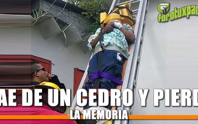 Cae de un CEDRO y pierde la memoria