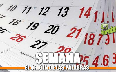 La Historia de la palabra SEMANA