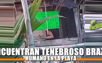 ENCUENTRAN TENEBROSO BRAZO HUMANO EN LA PLAYA