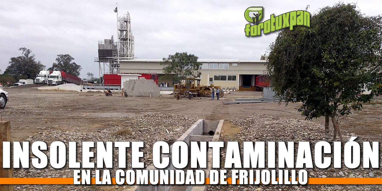 Insolente Contaminación en Frijolillo
