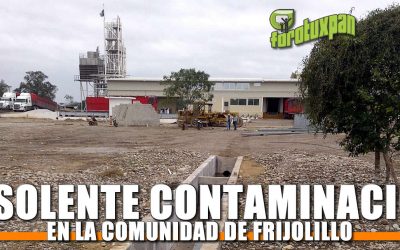 Insolente Contaminación en Frijolillo