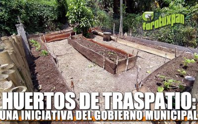 Huertos de Traspatio: Una iniciativa del Gobierno Municipal