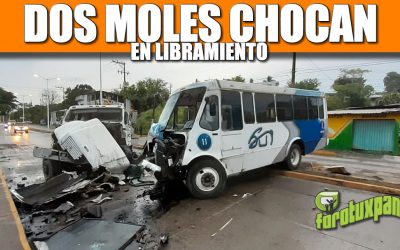 DOS MOLES CHOCAN EN LIBRAMIENTO