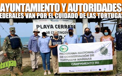 AYUNTAMIENTO Y AUTORIDADES FEDERALES VAN POR EL CUIDADO DE LAS TORTUGAS Y OTRAS ESPECIES