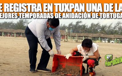 SE REGISTRA EN TUXPAN UNA DE LAS MEJORES TEMPORADAS DE ANIDACIÓN:TOÑO AGUILAR
