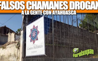 FALSOS CHAMANES DROGAN A LA GENTE CON AYAHUASCA