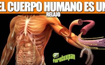 El cuerpo humano es un relajo