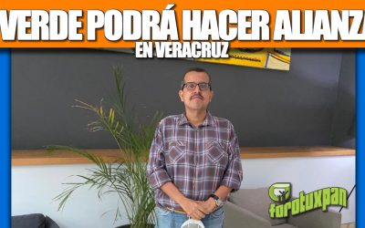 EL VERDE PODRÁ HACER ALIANZAS EN VERACRUZ