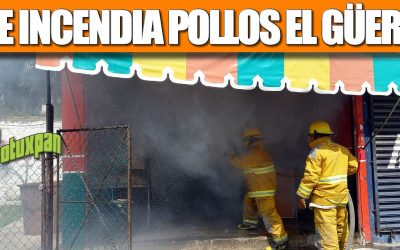 SE INCENDIA POLLOS EL GÜERO