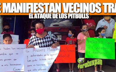 Se manifiestan vecinos tras ataque de los PITBULLS
