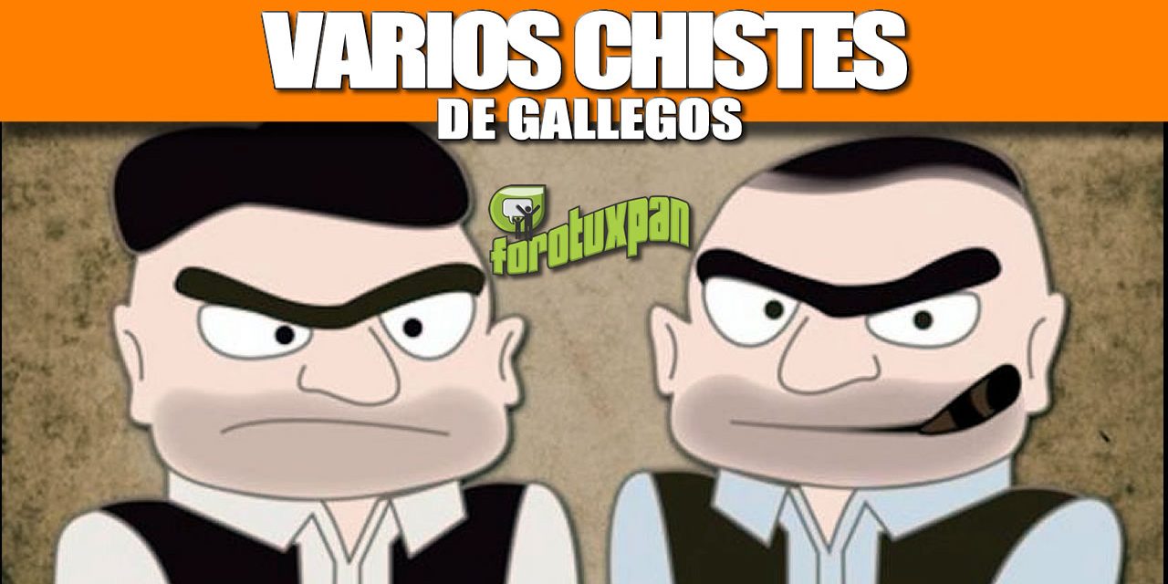 VARIOS CHISTES DE GALLEGOS