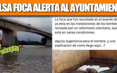 Falsa FOCA alerta al ayuntamiento