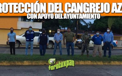 GOBIERNO DE TUXPAN MANTIENE PROTECCIÓN DEL CANGREJO AZUL, CON APOYO EN INSPECCIONES Y VIGILANCIA