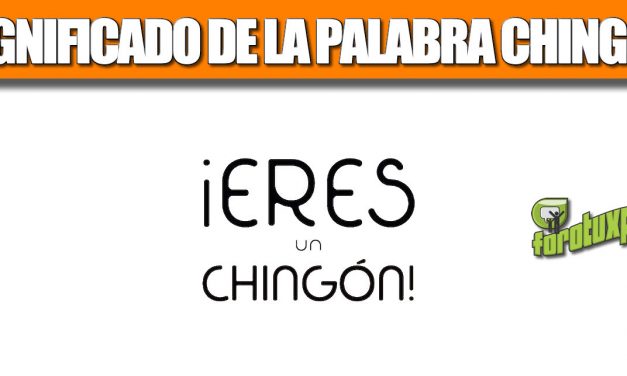 SIGNIFICADO DE LA PALABRA CHINGÓN