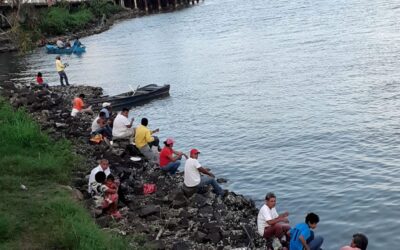 LOS POJOLES EN TUXPAN…