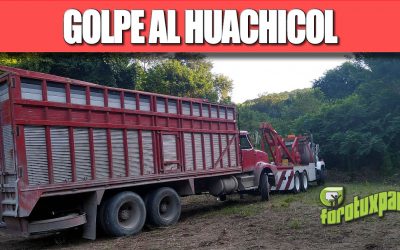 GOLPE AL HUACHICOL