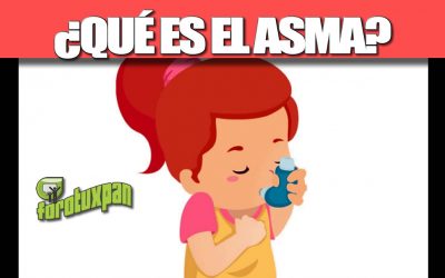 ¿QUÉ ES EL ASMA?