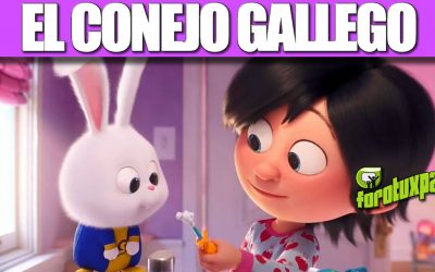 el conejo gallego