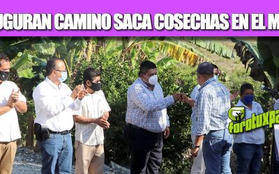 INAUGURAN CAMINO SACA COSECHAS EN EL MURO