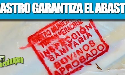 Rastro Municipal garantiza abasto de carne por festividades de “Todos Santos”
