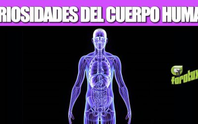 CURIOSIDADES DEL CUERPO HUMANO