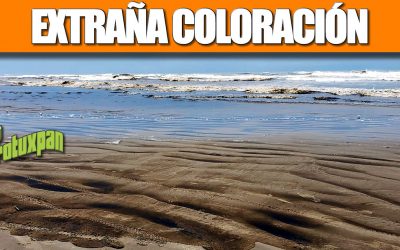 Alerta por cambio de coloración en agua de playas tuxpeñas