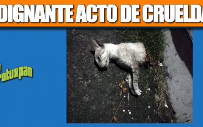 INDIGNANTE ACTO DE CRUELDAD