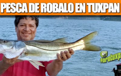 Pesca Deportiva de Robalo en Tuxpan Veracruz