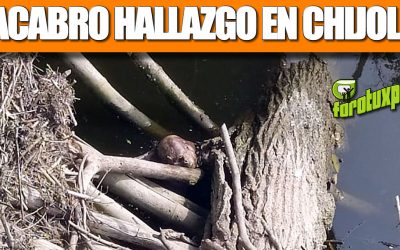 MACABRO HALLAZGO EN CHIJOLAR