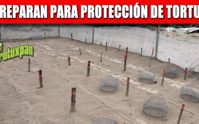 SE PREPARA GOBIERNO DE TUXPAN PARA PROTECCIÓN DE TORTUGAS, POR TEMPORADA DE ARRIBAZÓN