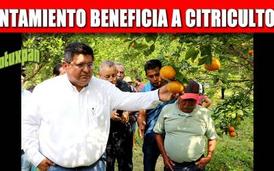 EL GOBIERNO DE TUXPAN BENEFICIA A CITRICULTORES GESTIONANDO MEJORES PRECIOS