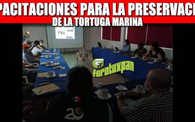 CAPACITACIONES PARA LA PRESERVACIÓN DE LA TORTUGA MARINA