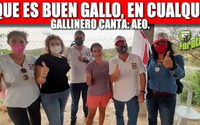 EL QUE ES BUEN GALLO, EN CUALQUIER GALLINERO CANTA: AEO