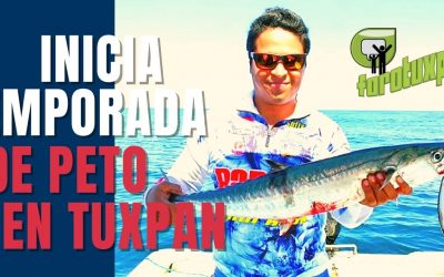 INICIA TEMPORADA DE PETO EN TUXPAN VERACRUZ