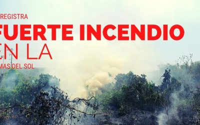 SE REGISTRA FUERTE INCENDIO EN LA LOMAS DEL SOL