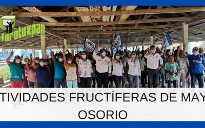 ACTIVIDADES FRUCTÍFERAS DE MAYTE OSORIO
