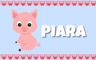 PIARA