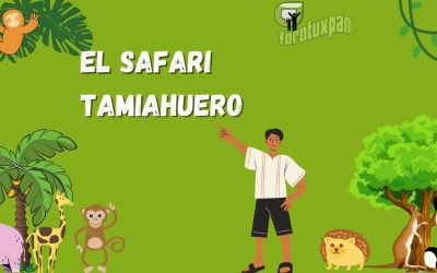 EL SAFARI TAMIAHUERO