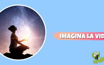 IMAGINA LA VIDA