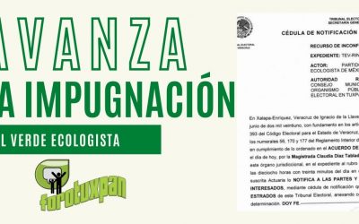 Avanza en el TEV impugnación del PVEM por elección municipal de Tuxpan