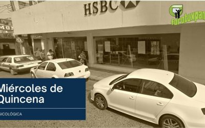 Miércoles de QUINCENA