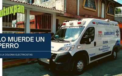 Lo muerde un perro en la Colonia electricistas
