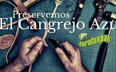CUIDEMOS Y PRESERVEMOS EL CANGREJO AZUL